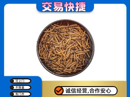 邯郸高价回收散虫草
